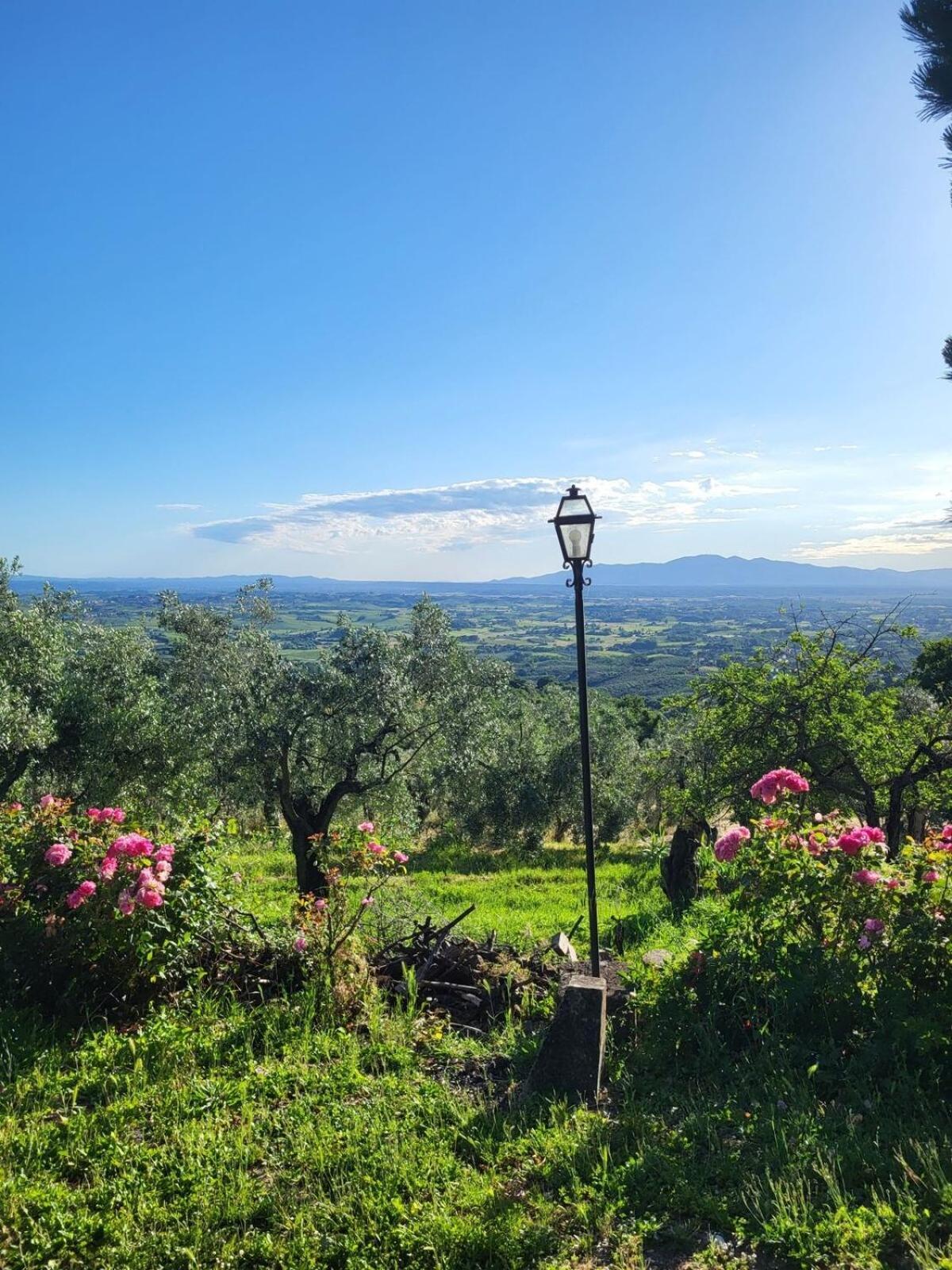 Agriturismo La Gioconda 빈치 외부 사진